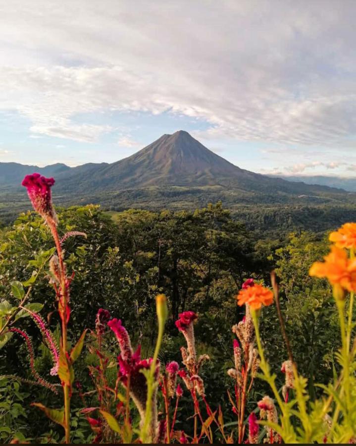 Las Pavitas Cottages La Fortuna Eksteriør billede