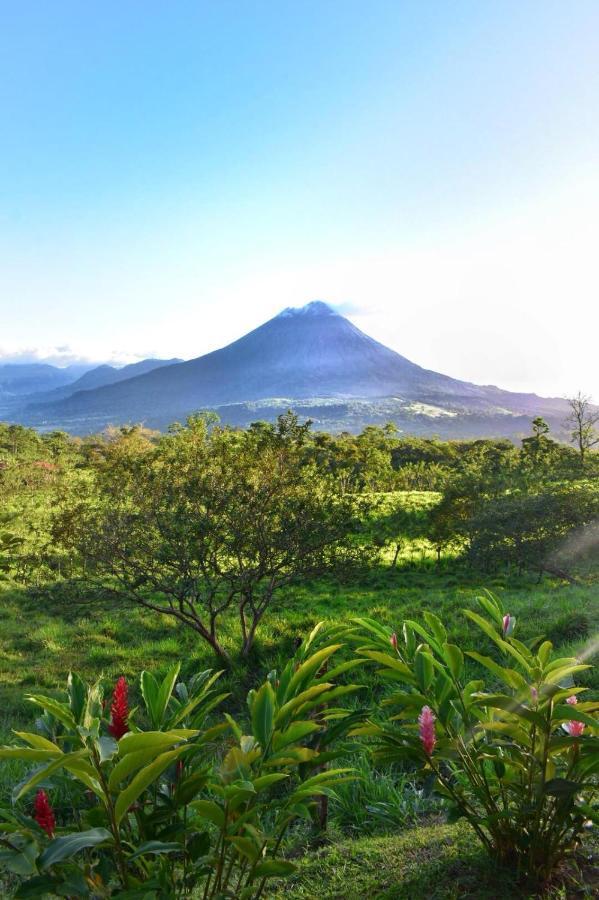 Las Pavitas Cottages La Fortuna Eksteriør billede